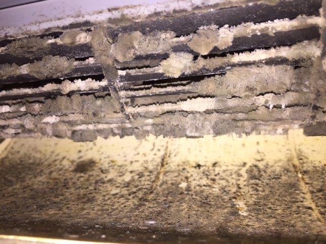 Before image